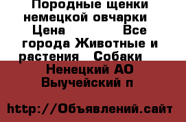 Породные щенки немецкой овчарки › Цена ­ 24 000 - Все города Животные и растения » Собаки   . Ненецкий АО,Выучейский п.